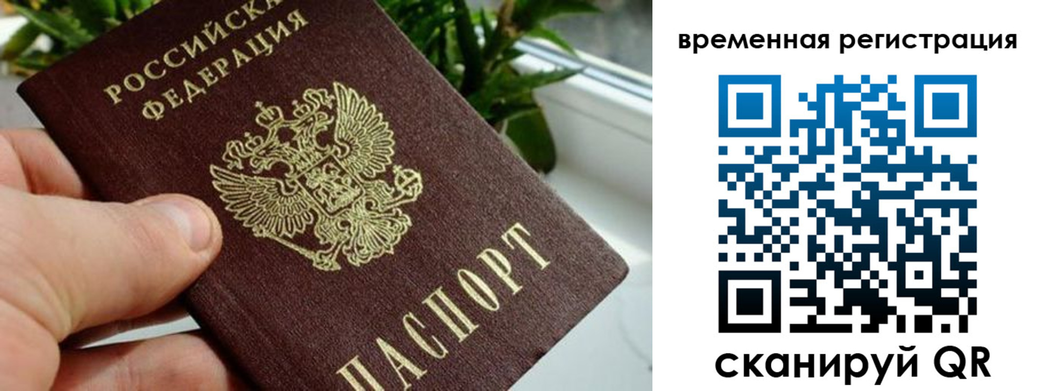 прописка поиск в Коврове
